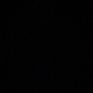 Meet your Posher, Whitney